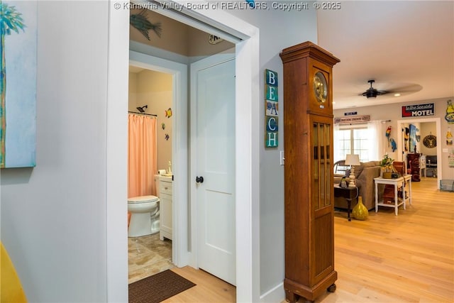 corridor featuring light hardwood / wood-style floors