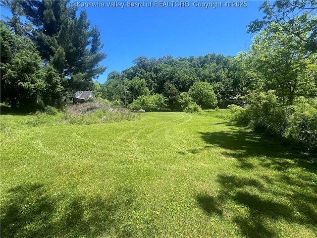 Listing photo 2 for 1648 Hannan Trace Rd, Glenwood WV 25520