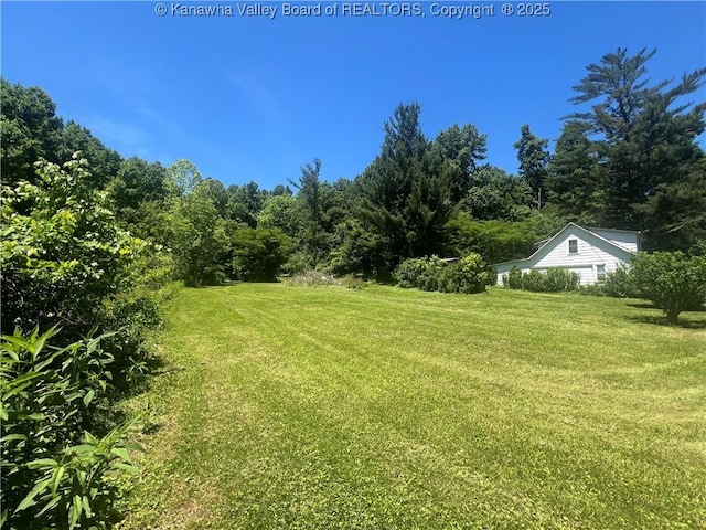 1648 Hannan Trace Rd, Glenwood WV, 25520 land for sale