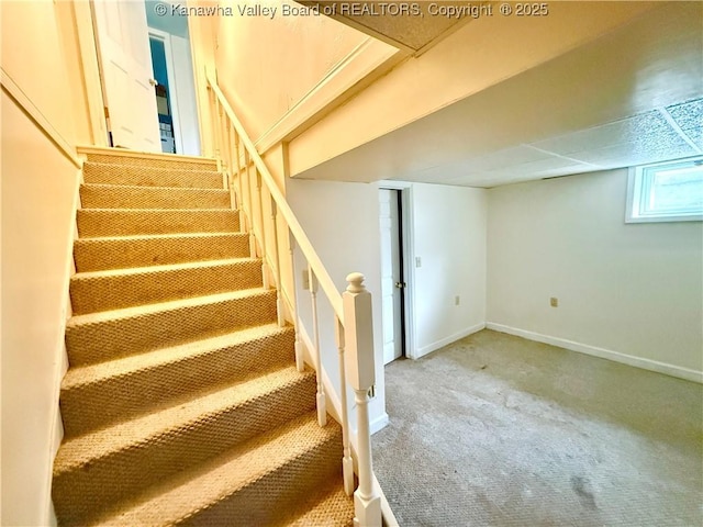 stairway with carpet