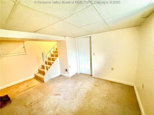 basement featuring a drop ceiling and carpet floors