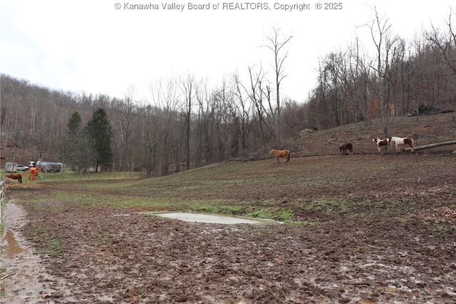 view of yard with a rural view