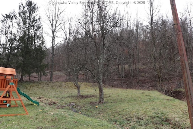 view of yard featuring a playground