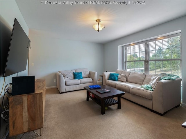 living room featuring light colored carpet