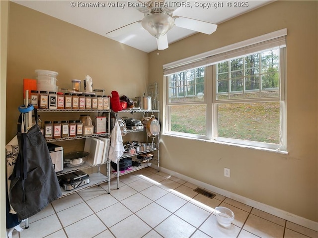 storage room with ceiling fan