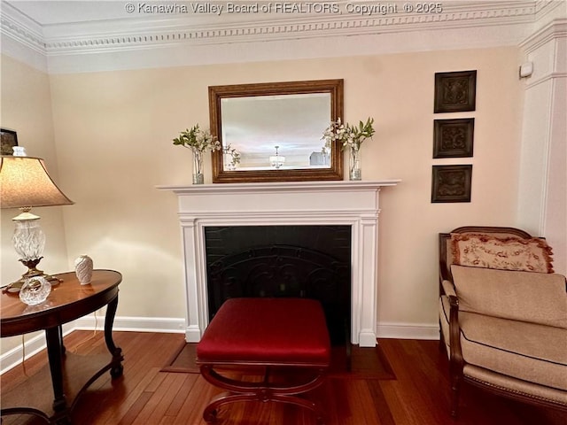 sitting room featuring dark wood-type flooring