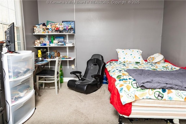 view of carpeted bedroom