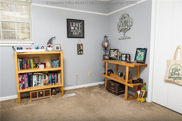 misc room with crown molding and carpet floors