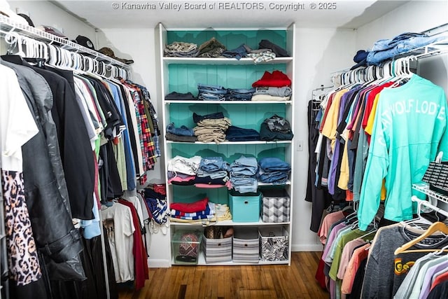 walk in closet featuring wood-type flooring