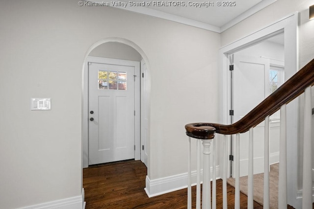 foyer featuring crown molding, plenty of natural light, and dark hardwood / wood-style floors