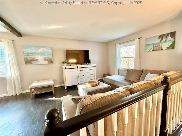 living room featuring dark hardwood / wood-style flooring