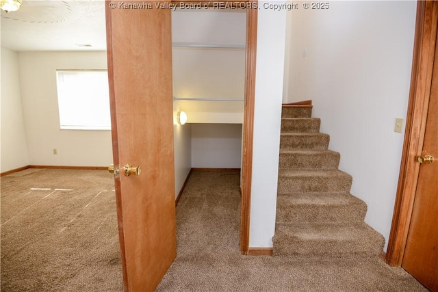 stairs featuring carpet floors