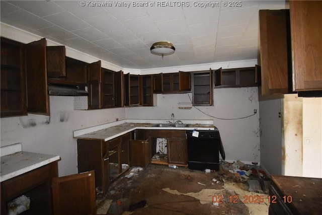 kitchen with dark brown cabinetry, dishwasher, and sink