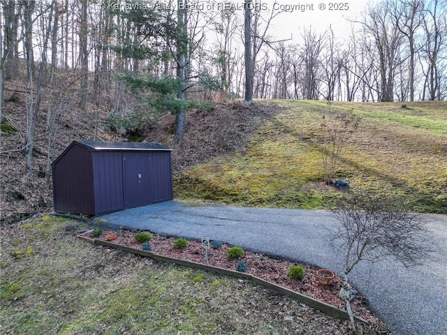 view of yard featuring a shed