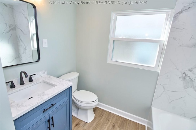 bathroom with vanity, hardwood / wood-style flooring, and toilet