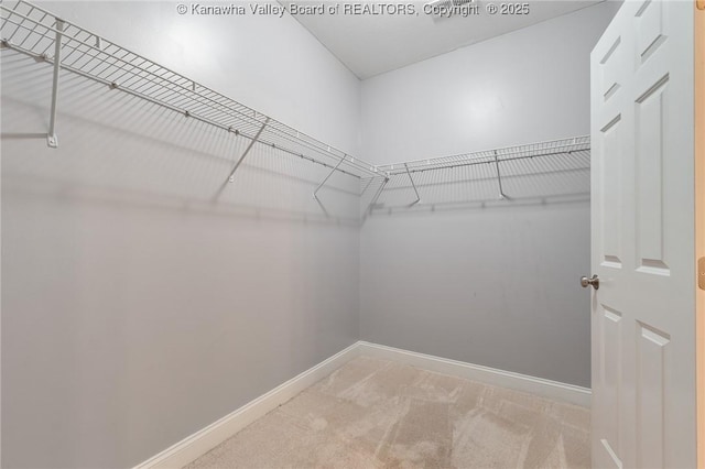 spacious closet featuring light carpet