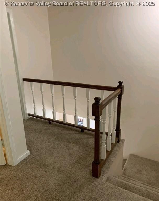 staircase with carpet