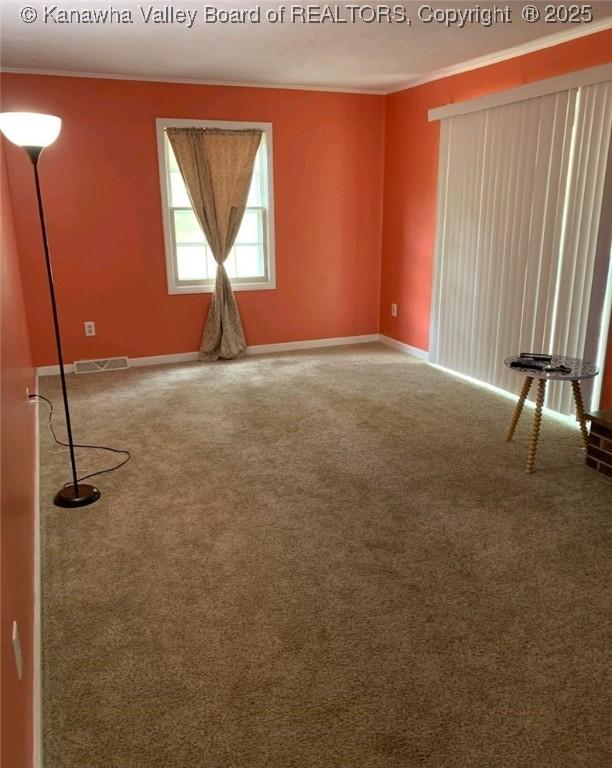 spare room featuring crown molding and carpet flooring