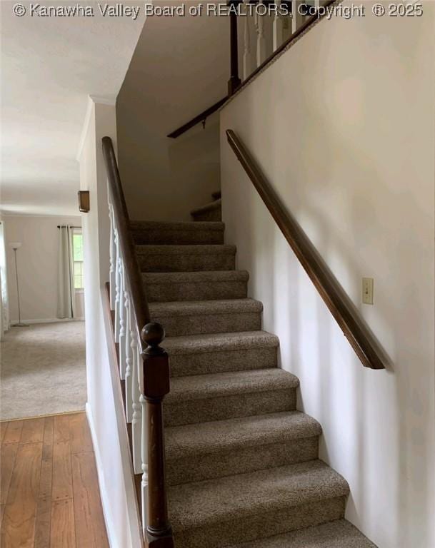 stairway featuring hardwood / wood-style flooring