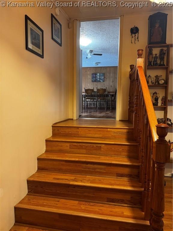 81 Amburgey Ln, Amherstdale, WV 25607 - stairs featuring wood finished floors