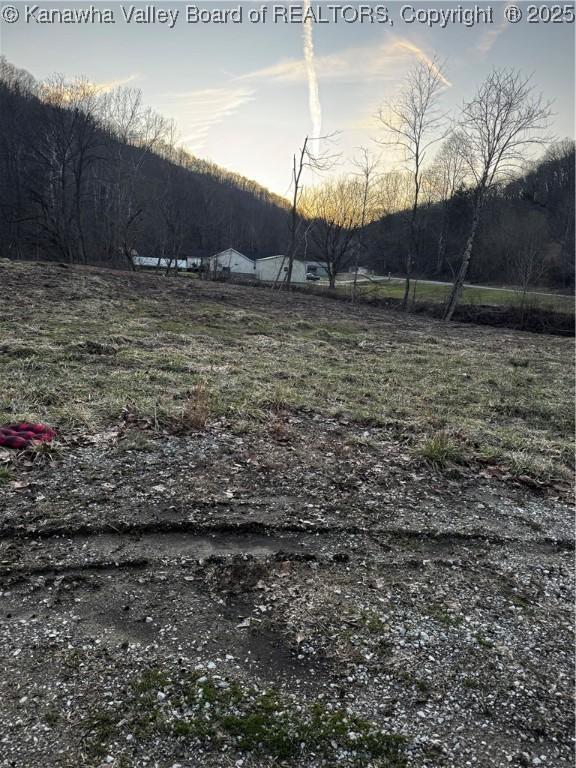 1696 Limestone Branch Rd, Harts, WV 25505 - photo 3