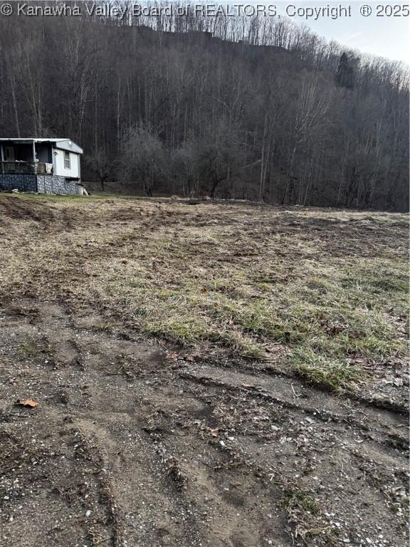 1696 Limestone Branch Rd, Harts, WV 25505 - photo 4