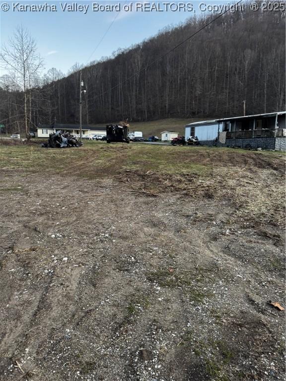 1696 Limestone Branch Rd, Harts, WV 25505 - photo 5