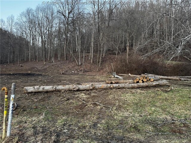 1696 Limestone Branch Rd, Harts, WV 25505 - photo 6