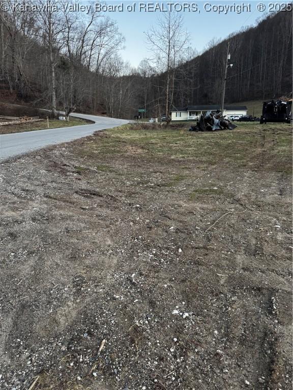 1696 Limestone Branch Rd, Harts, WV 25505 - photo 7