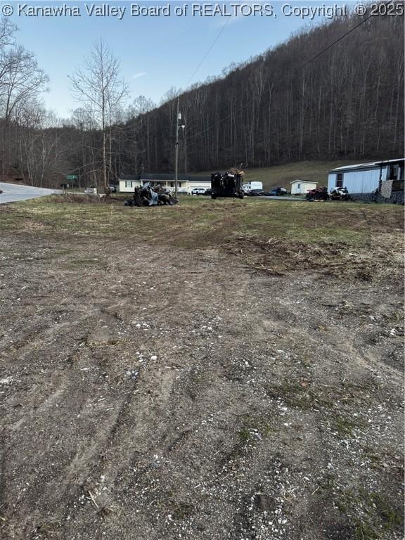 1696 Limestone Branch Rd, Harts, WV 25505 - photo 8