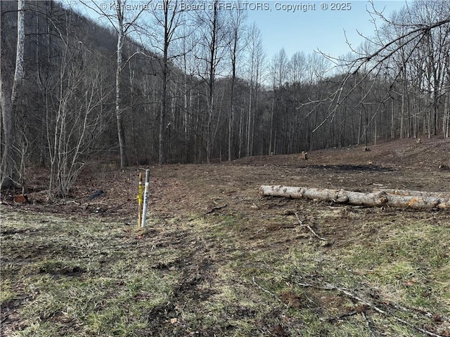 1696 Limestone Branch Rd, Harts, WV 25505 - photo 10