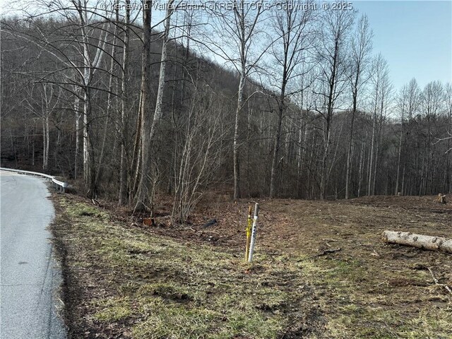 1696 Limestone Branch Rd, Harts, WV 25505 - photo 13