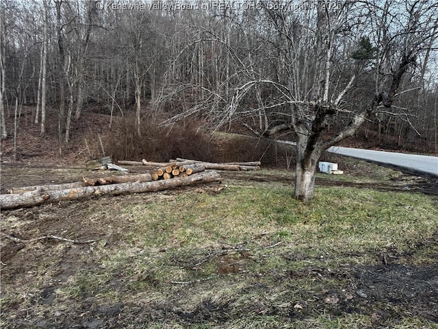 1696 Limestone Branch Rd, Harts, WV 25505 - photo 14