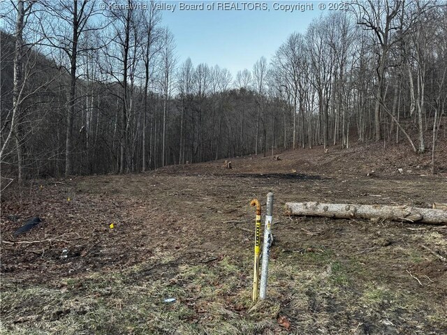 1696 Limestone Branch Rd, Harts, WV 25505 - photo 15