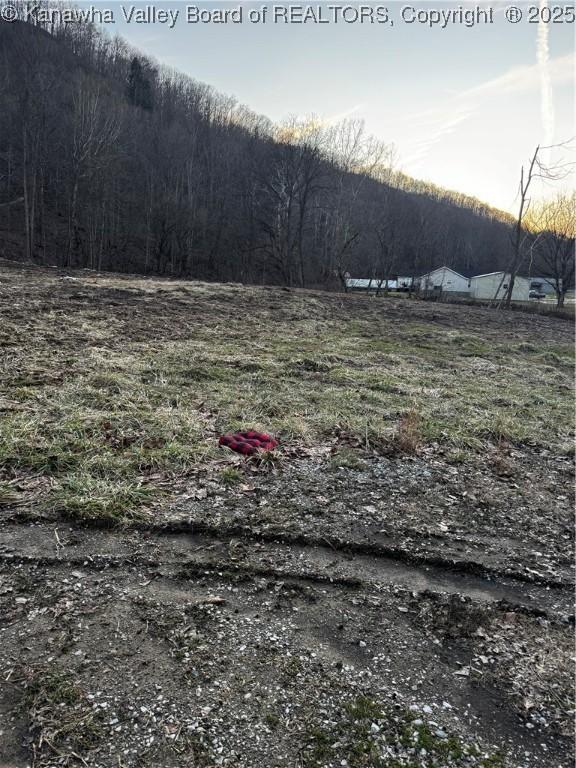 1696 Limestone Branch Rd, Harts, WV 25505 - photo 17