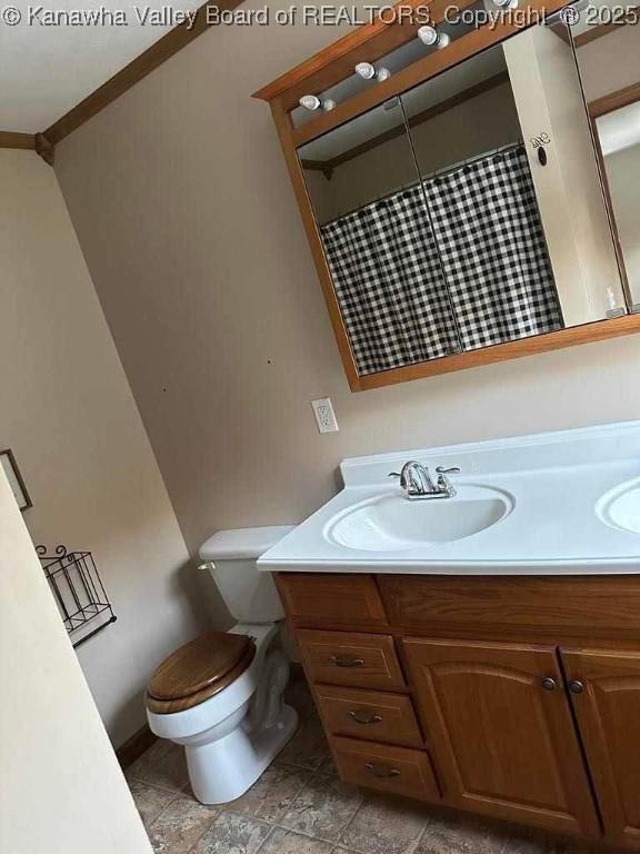 bathroom with toilet and vanity