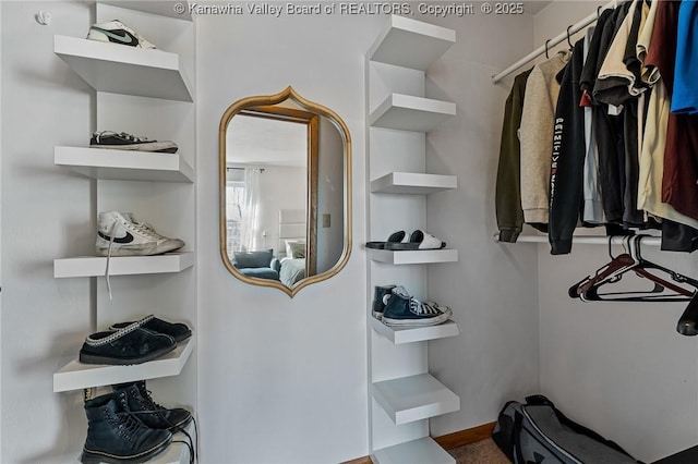 view of walk in closet