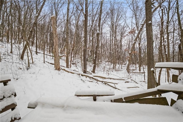 view of yard layered in snow