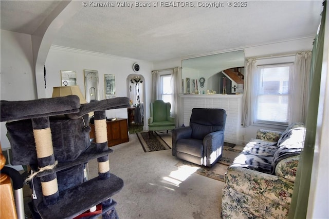 carpeted living area with arched walkways and ornamental molding