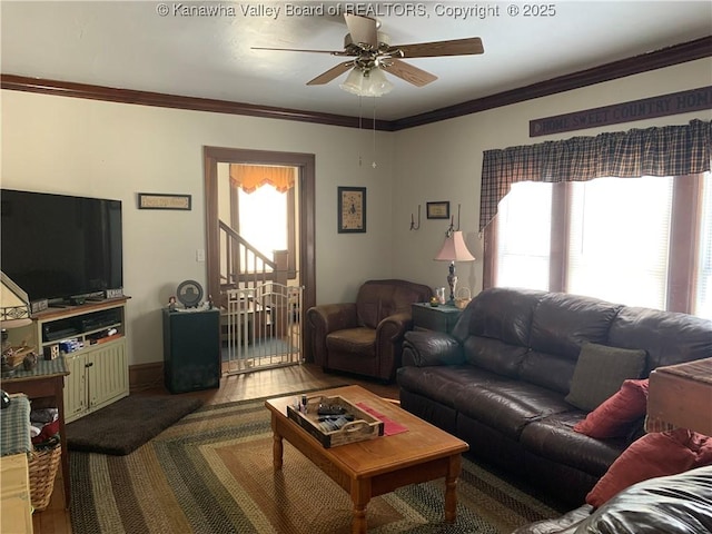 living room featuring wood finished floors, crown molding, and ceiling fan