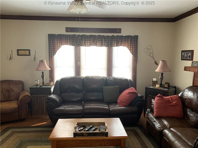 living room featuring ceiling fan and ornamental molding