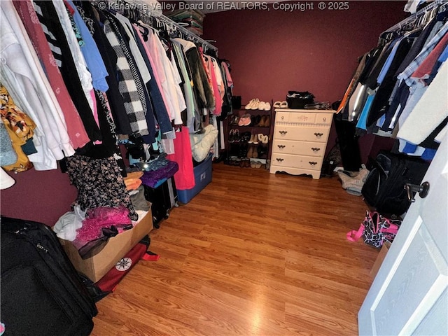 walk in closet with light wood finished floors