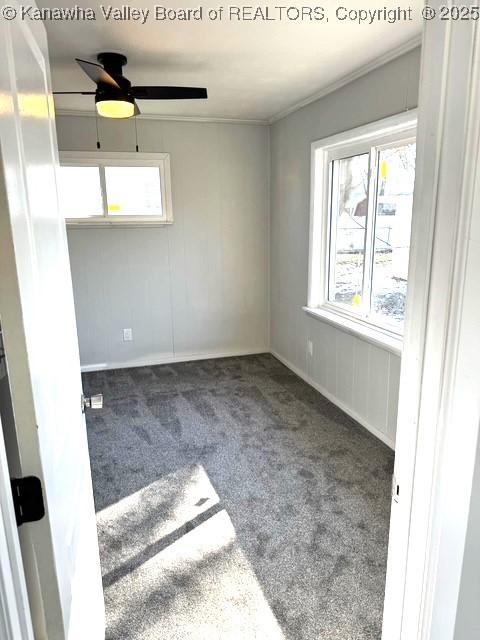 empty room featuring a wealth of natural light, carpet floors, ornamental molding, and a ceiling fan