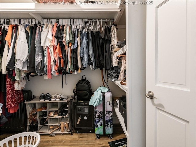 view of closet