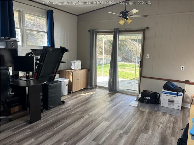 office space featuring ceiling fan, wood finished floors, and crown molding