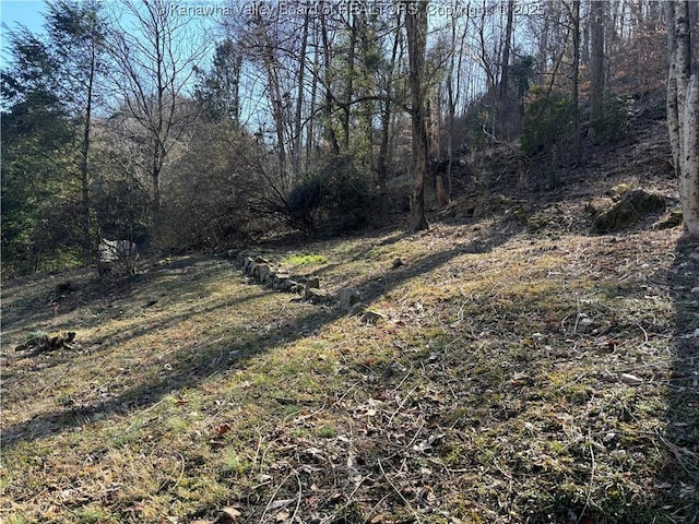 view of local wilderness featuring a forest view