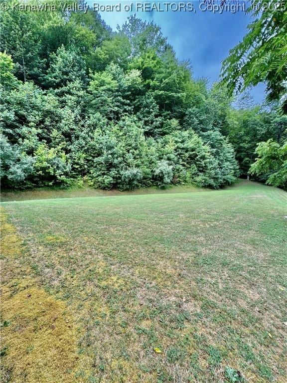 2299 Striker Fork Rd, Chapmanville, WV 25508 - view of yard