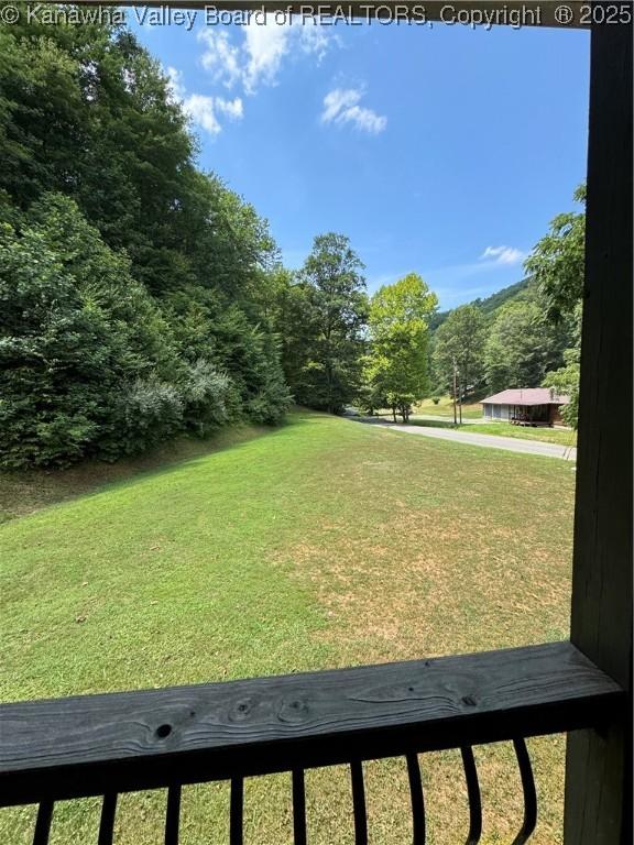 2299 Striker Fork Rd, Chapmanville, WV 25508 - view of yard