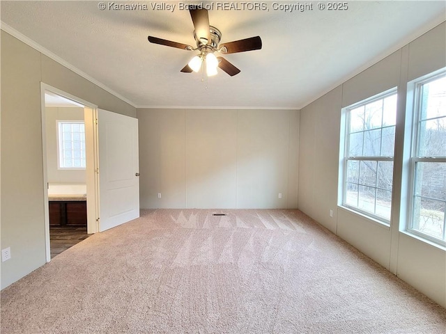 spare room with carpet floors, ceiling fan, and crown molding