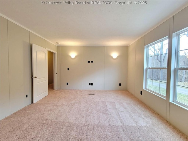 spare room with ornamental molding, carpet flooring, a decorative wall, and visible vents